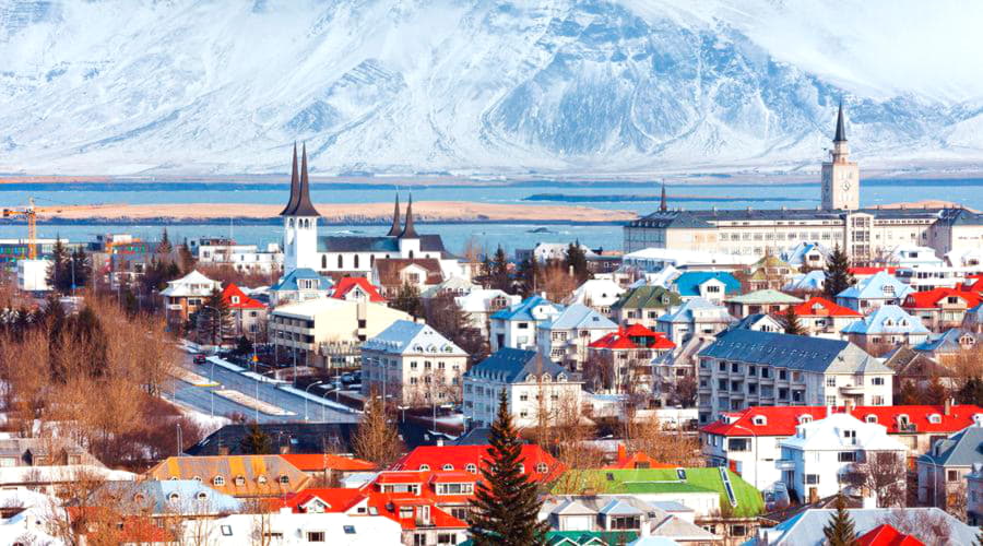 Quali sono le scelte di veicoli più popolari a Reykjavik?